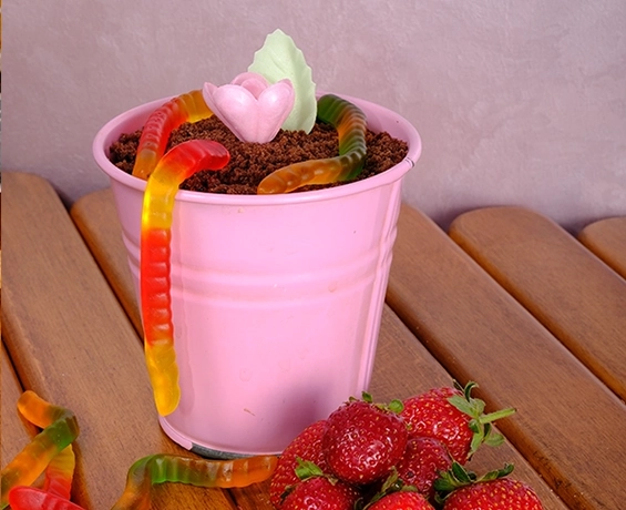 Chocolate Garden